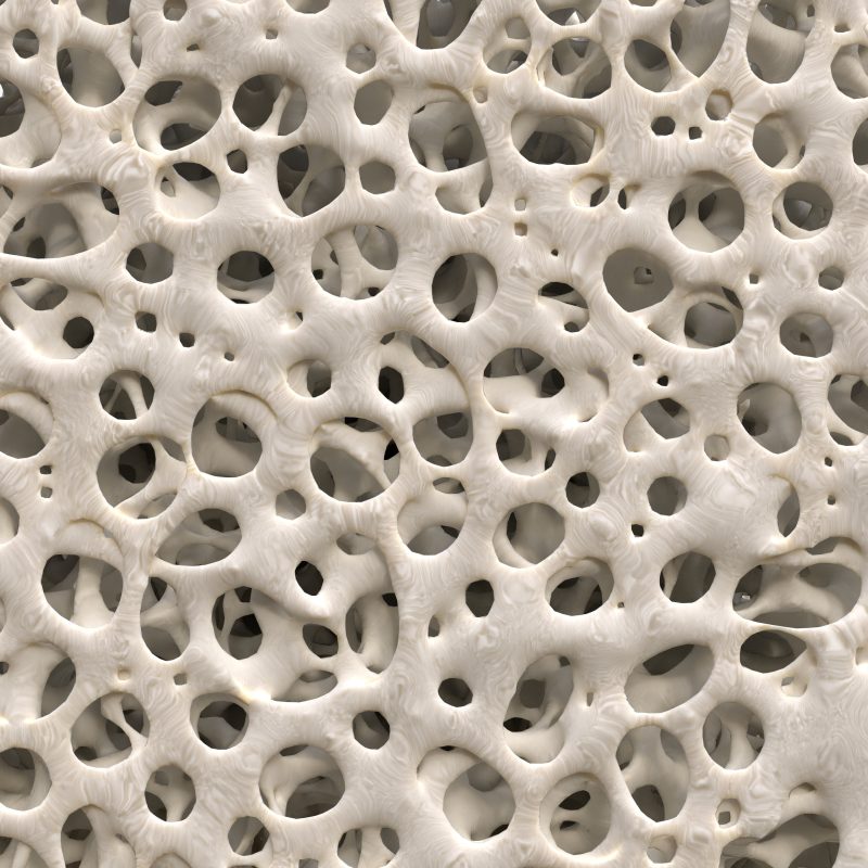 spongy bone texture of tooth