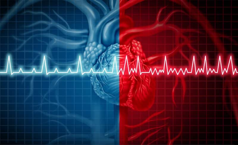 illustration of red and blue heart showing healthy and atrial fibrillation