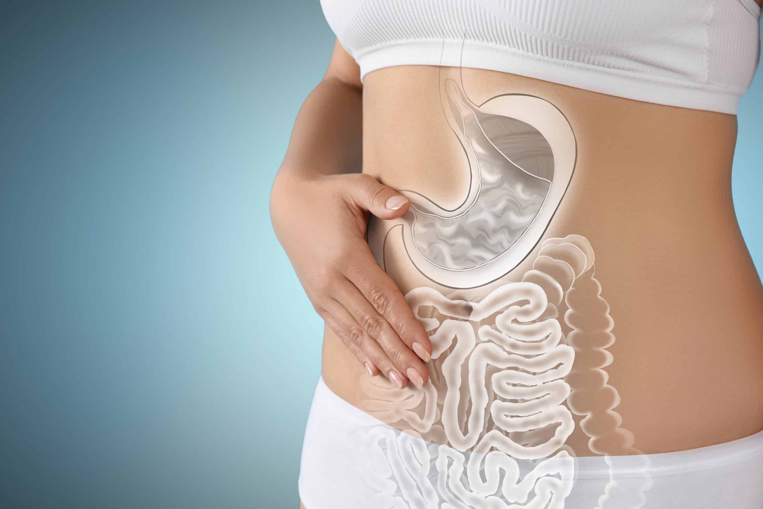 woman with hand on bare belly showing digestive system