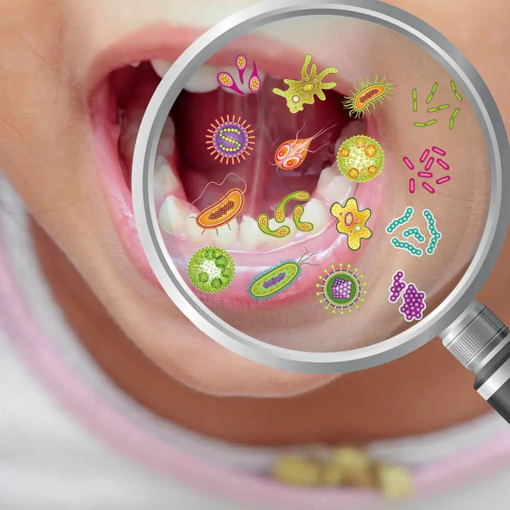 Scientific visualization representing bacteria in the oral microbiome